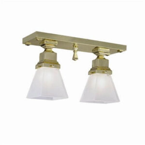 Nashota™ Two Light Flush Ceiling Fixture With 2-1/4" Shade Holders